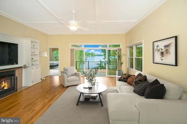 living room with ceiling fan, light wood finished floors, coffered ceiling, and a glass covered fireplace