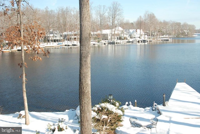 dock area featuring a water view