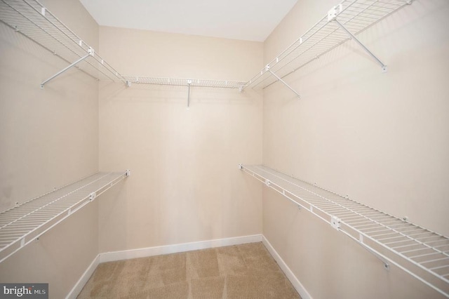 walk in closet featuring light colored carpet