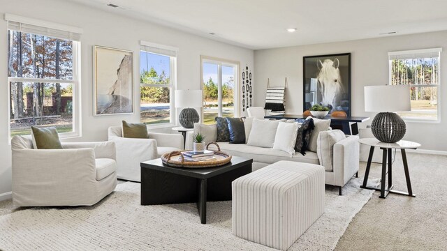 living room with light carpet