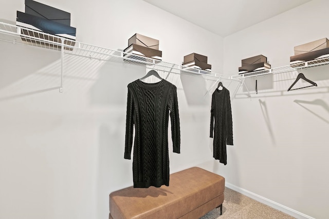 walk in closet with carpet