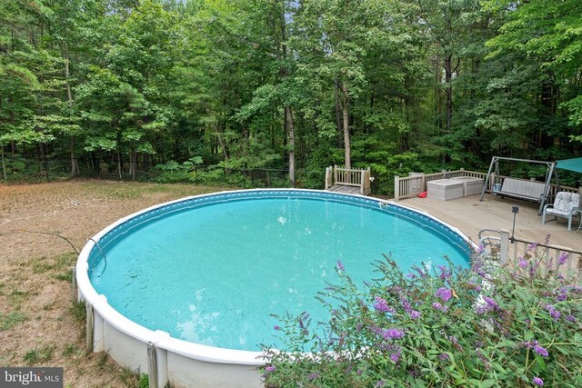 view of swimming pool