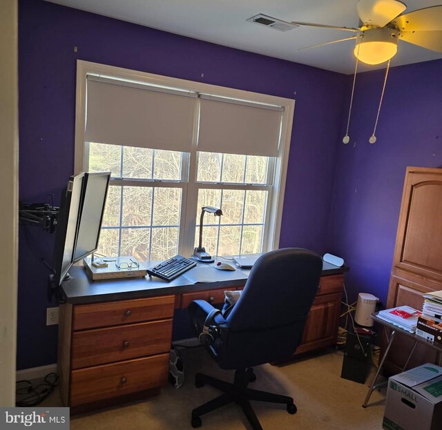 view of carpeted office