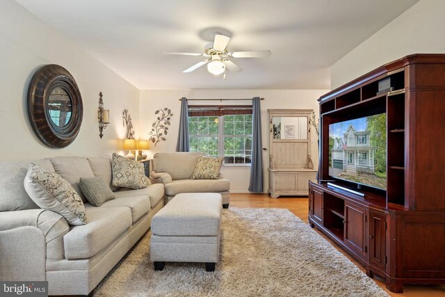 living room with ceiling fan and light wood-type flooring