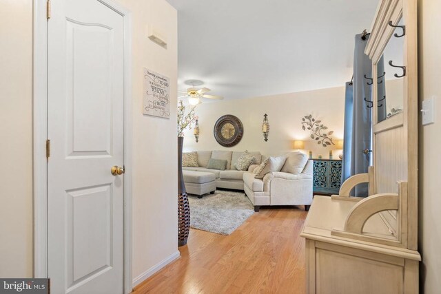 living room with ceiling fan and light hardwood / wood-style floors