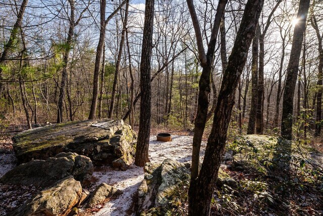 view of local wilderness