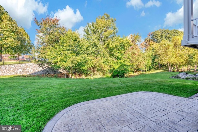 view of yard with a patio and fence