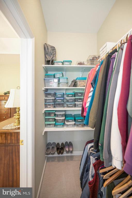 spacious closet featuring carpet