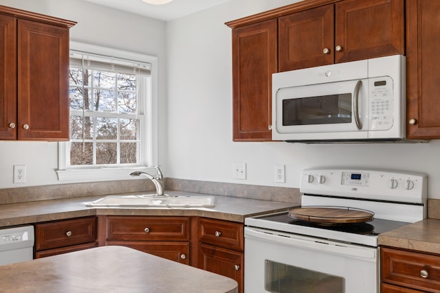 kitchen featuring brown cabinets, white appliances, light countertops, and a sink