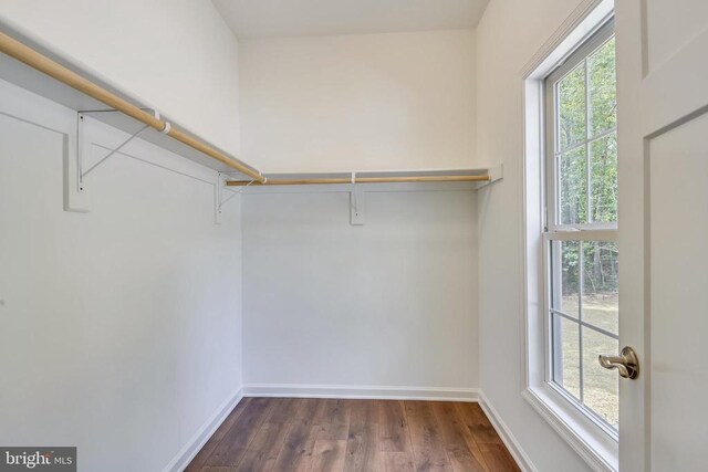 walk in closet with dark wood-type flooring