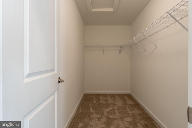 walk in closet with carpet