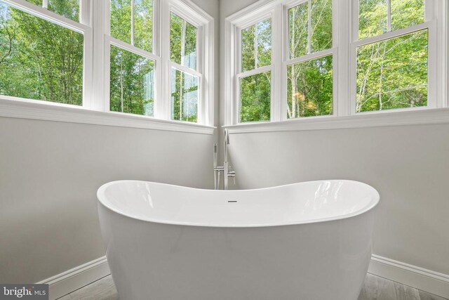 bathroom featuring a bathing tub and a wealth of natural light