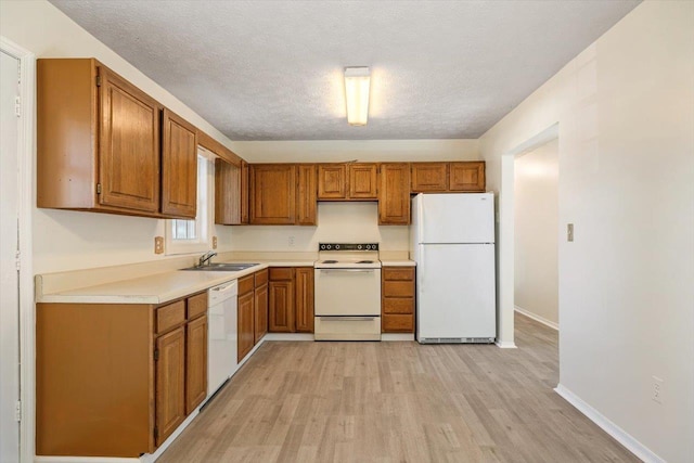 kitchen with sink, white appliances, a textured ceiling, and light wood-type flooring