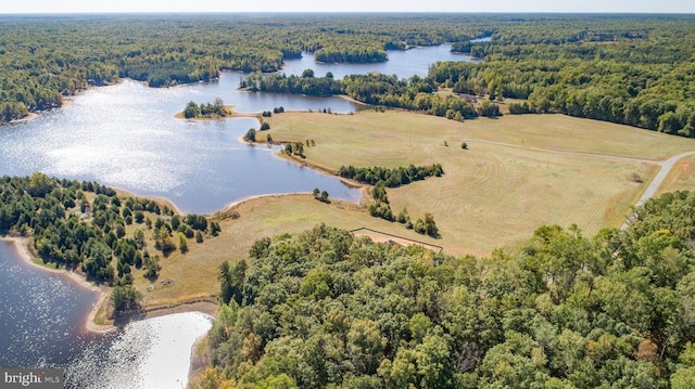 bird's eye view with a water view and a wooded view