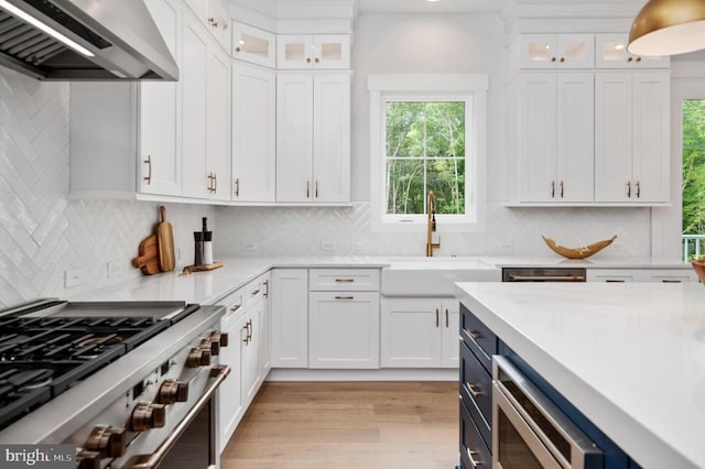 kitchen featuring range hood, glass insert cabinets, and white cabinets