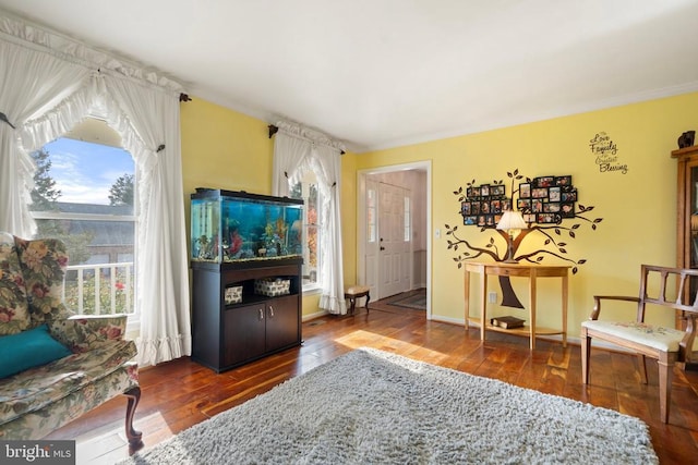 living room with hardwood / wood-style flooring