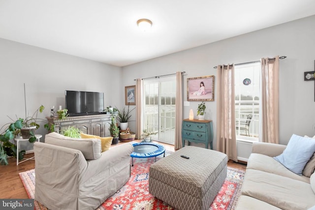 living room with light wood-type flooring