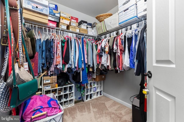 walk in closet featuring carpet flooring