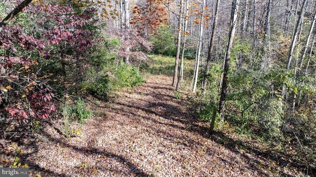 Pine Torch, Madison VA, 22727 land for sale