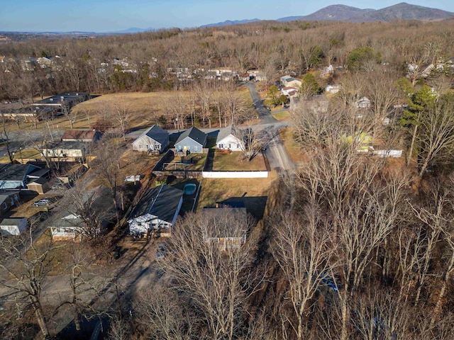 drone / aerial view featuring a mountain view