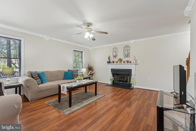 living room featuring a fireplace with flush hearth, ornamental molding, a ceiling fan, and wood finished floors
