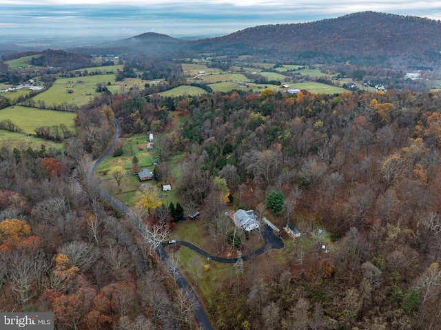 birds eye view of property featuring a mountain view