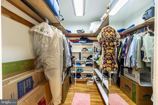 walk in closet featuring wood finished floors