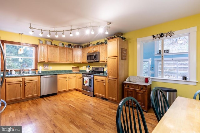 kitchen with appliances with stainless steel finishes, a sink, light wood finished floors, and plenty of natural light