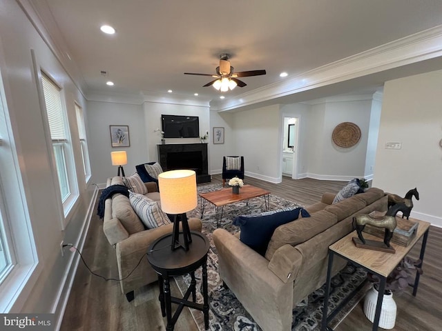 living area with a fireplace with raised hearth, crown molding, ceiling fan, and wood finished floors