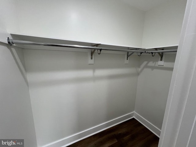 walk in closet with dark wood-style floors