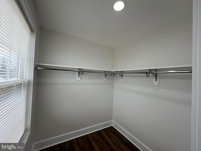 walk in closet featuring dark wood-type flooring