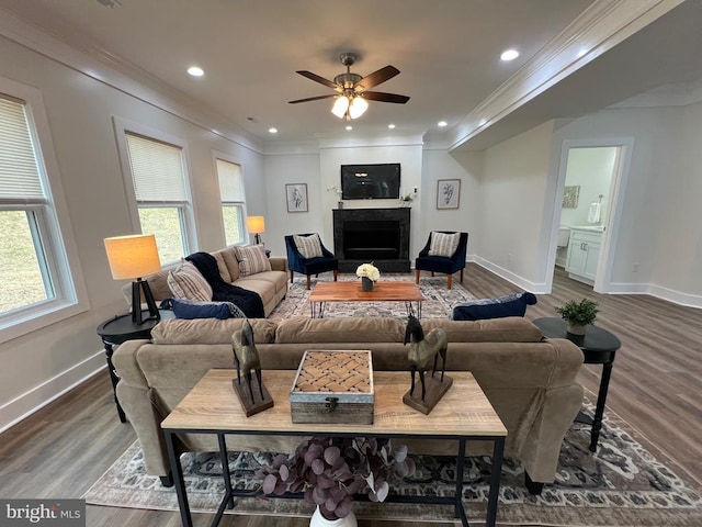 living room featuring a fireplace, wood finished floors, a ceiling fan, and ornamental molding