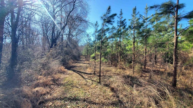 213AC Level Run Rd, Long Island VA, 24569 land for sale