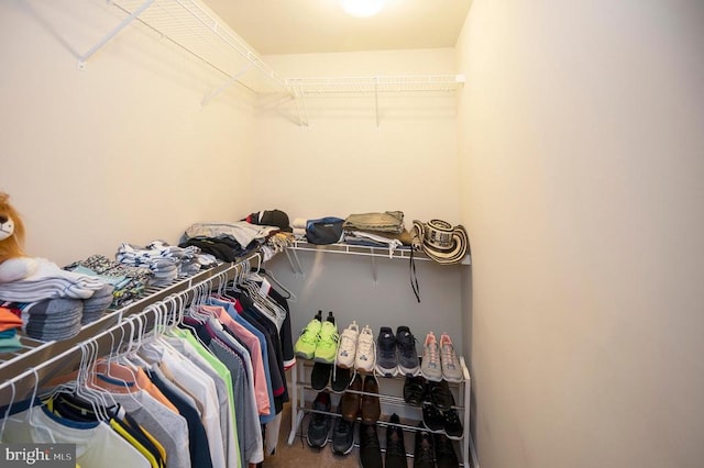 view of spacious closet