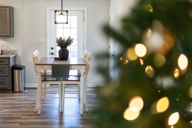 dining room featuring hardwood / wood-style flooring