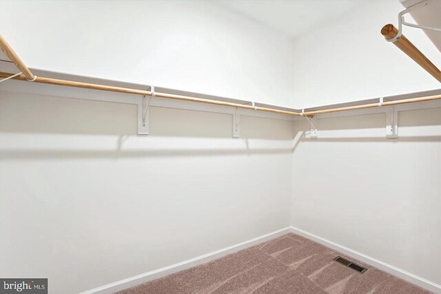 walk in closet featuring carpet flooring