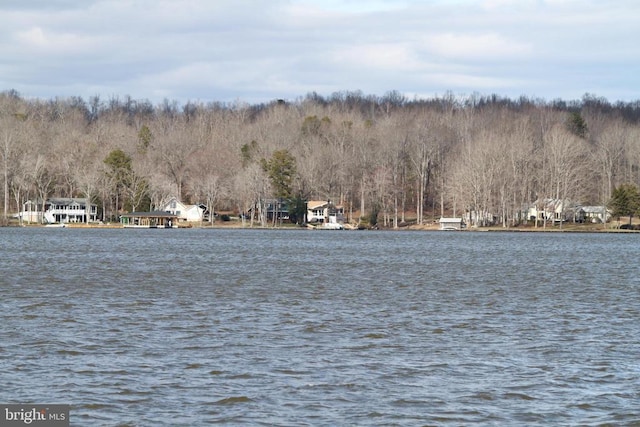 property view of water featuring a view of trees