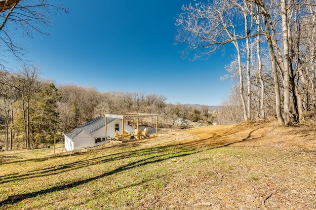 view of yard featuring a pergola