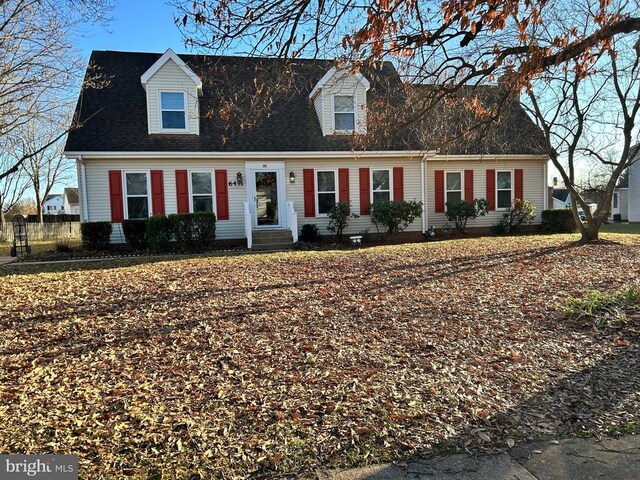 view of cape cod-style house