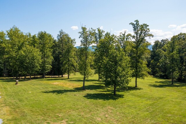 1043 Batman Rd, Shenandoah VA, 22849 land for sale