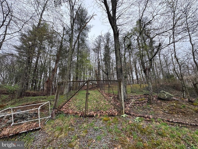 view of yard with a garden and a gate