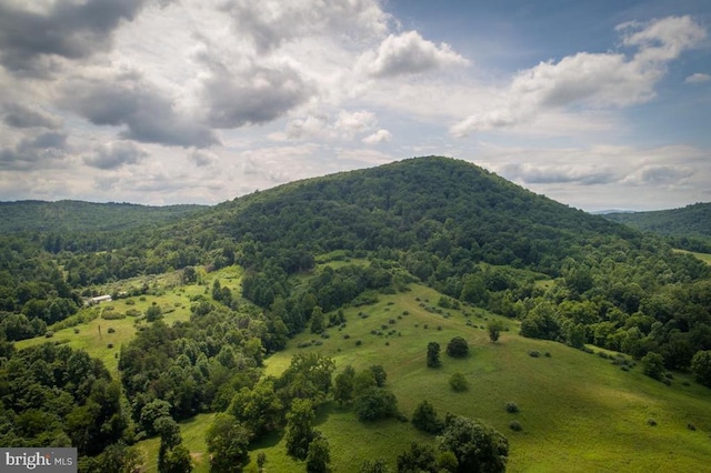 view of mountain feature with a view of trees