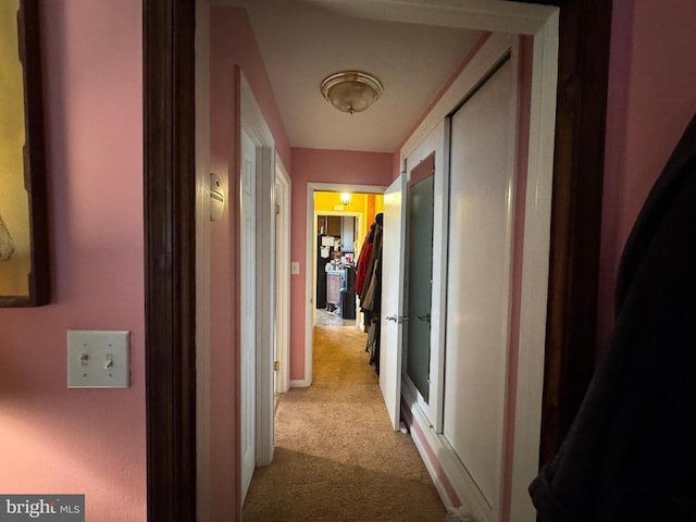 hall with carpet