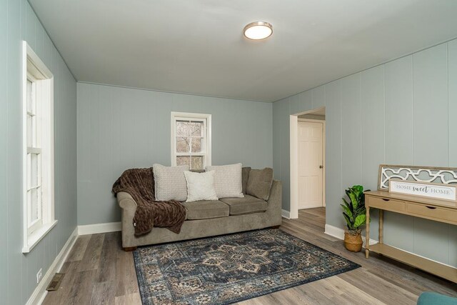 living room featuring wood-type flooring