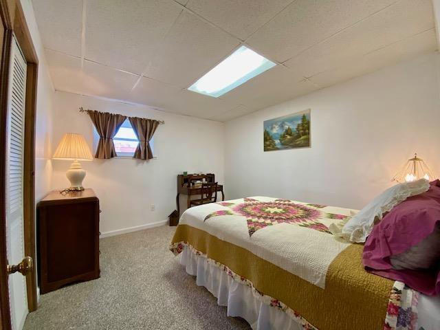 bedroom featuring carpet floors and a drop ceiling