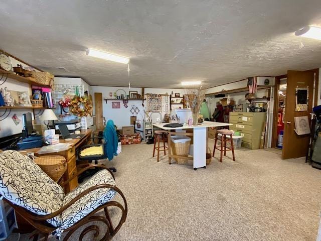 interior space with light carpet and a textured ceiling