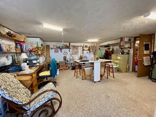 kitchen with light carpet and a textured ceiling