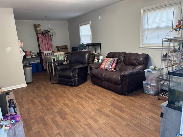 living room featuring wood-type flooring