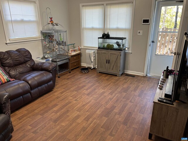 living room with radiator and dark wood-type flooring