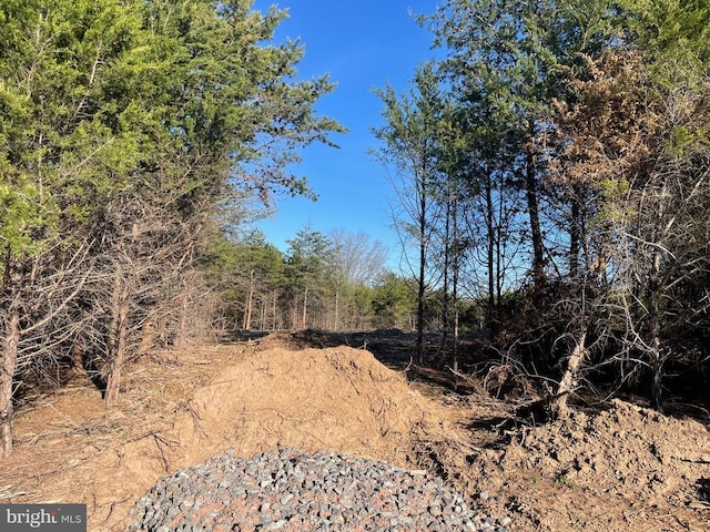 view of local wilderness